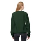 Unisex Midweight Softstyle Fleece Crewneck Sweatshirt - 18075585450008699422 2048
