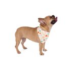 Pet Bandana - 17732174570622973732 2048 1